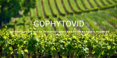 GOPHYTOVID