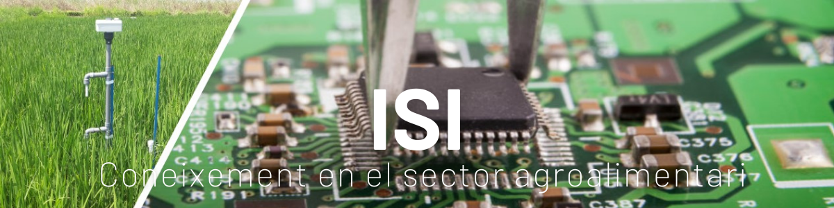 isi