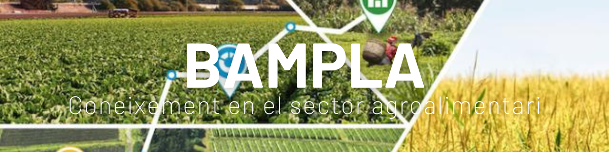 bampla