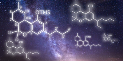 Identificació de 16 nous cannabinoides