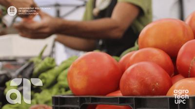 Congrés de l'Horta de Catalunya