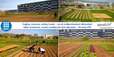 Enginy i innovació contra el malbaratament alimentari