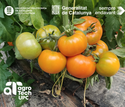 Jornada Portes Obertes al centre d'experimentació Agròpolis