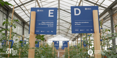 Presentació projecte Agreen