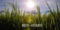 RICE-GUARD