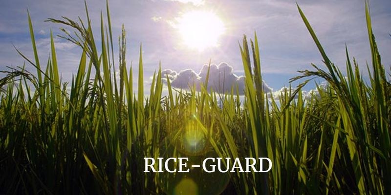 RICE-GUARD
