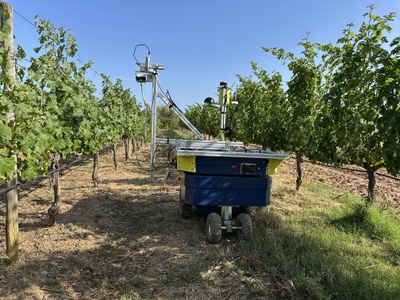 RootBot