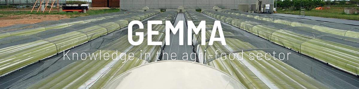 gemma