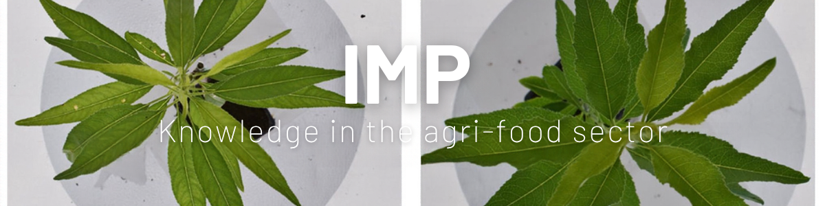 imp
