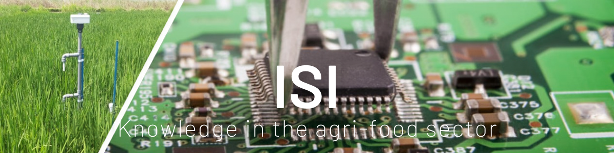 isi