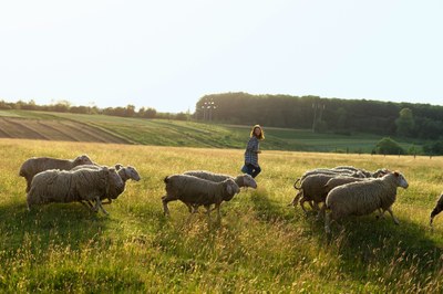 How to make an agricultural and livestock project viable?