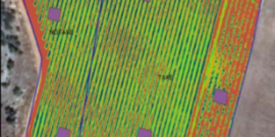AI4Agriculture