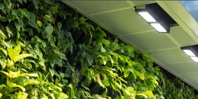 Green roofs and façades