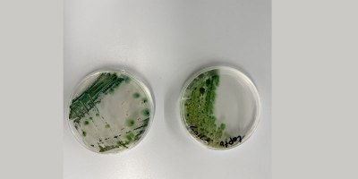 CyanBio2