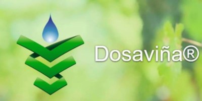 Dosaviña